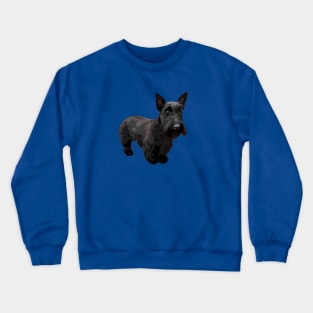 Scottish Terrier Puppy Dog Crewneck Sweatshirt